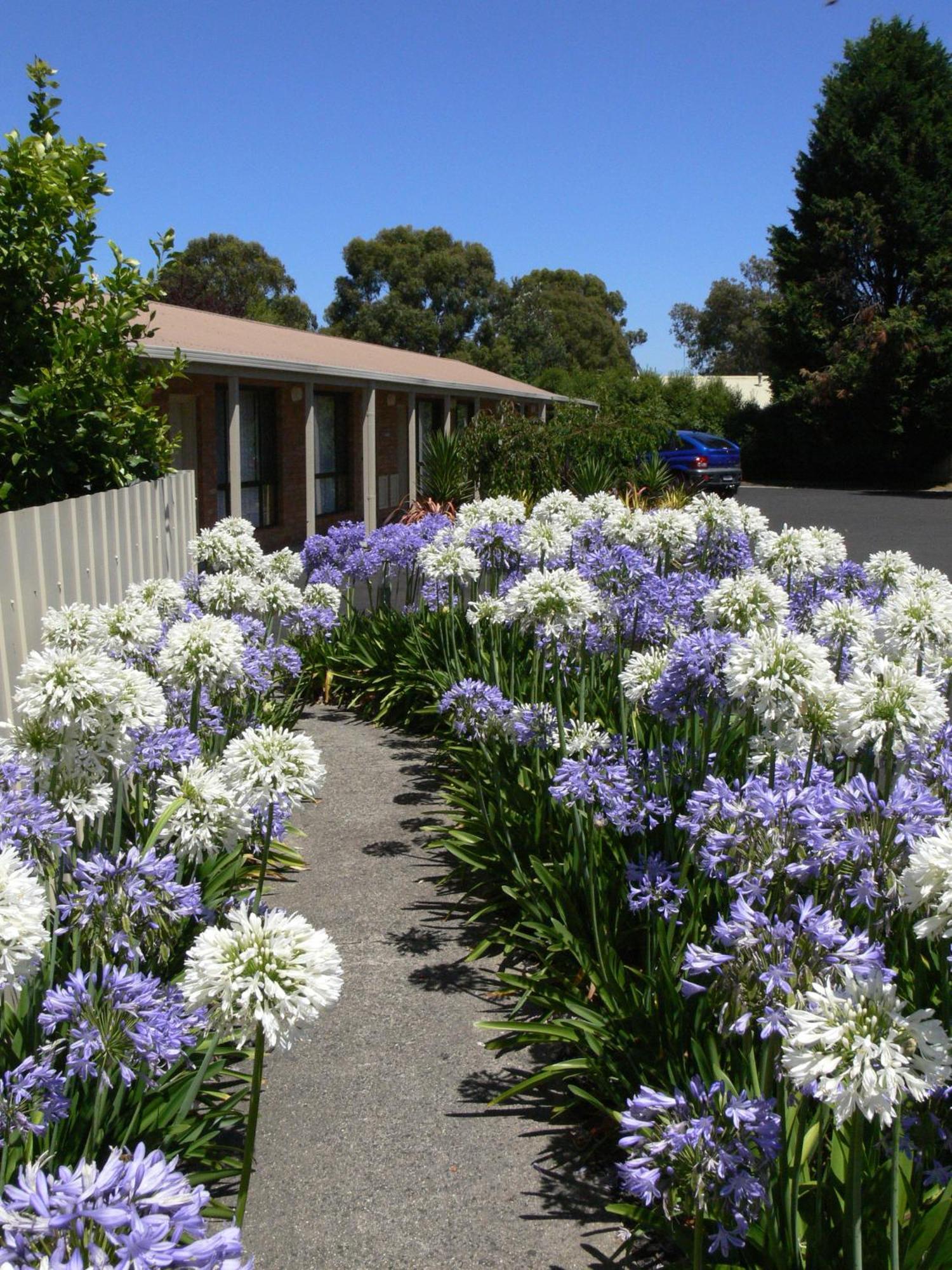 Begonia City Motor Inn Ballarat Ngoại thất bức ảnh